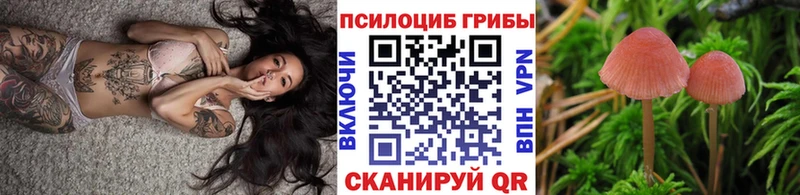 Галлюциногенные грибы Psilocybe  Ухта 